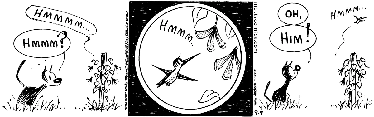 September 9 2009, Daily Comic Strip
