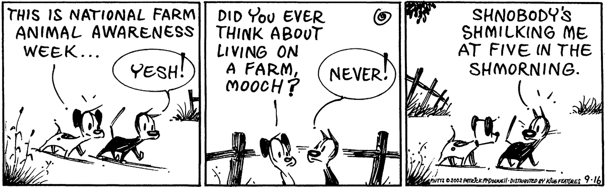 September 16 2002, Daily Comic Strip