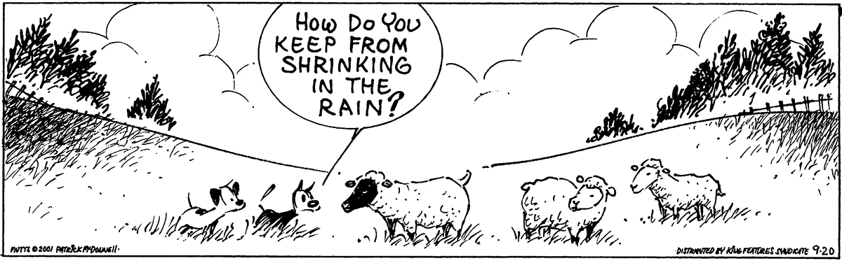 September 20 2001, Daily Comic Strip