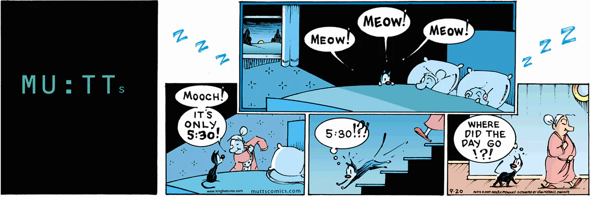 September 20 2009, Sunday Comic Strip