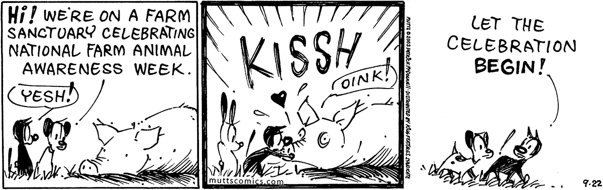 September 22 2003, Daily Comic Strip