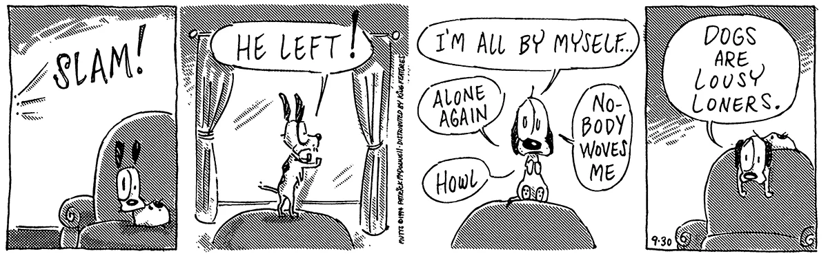 September 30 1994, Daily Comic Strip