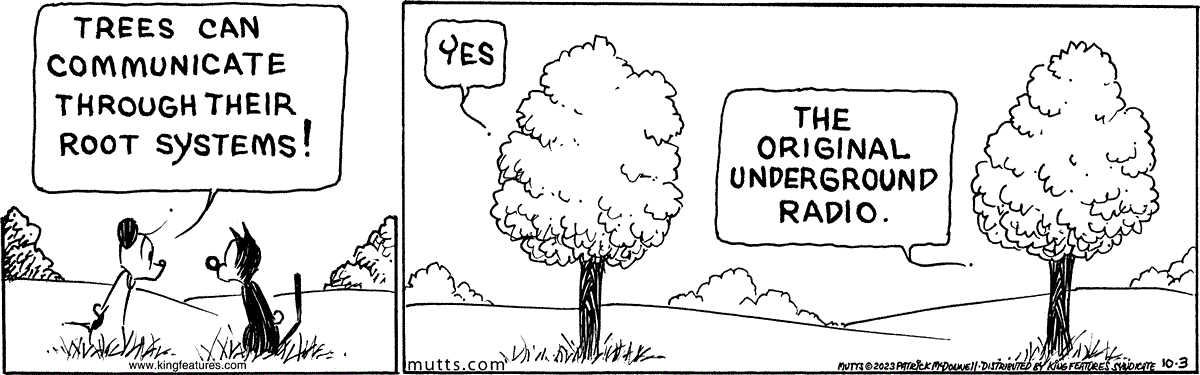 October 3 2023, Daily Comic Strip