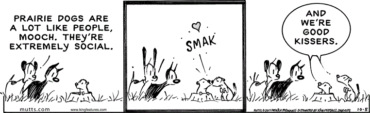 October 5 2017, Daily Comic Strip