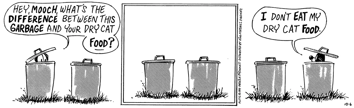 October 6 1997, Daily Comic Strip