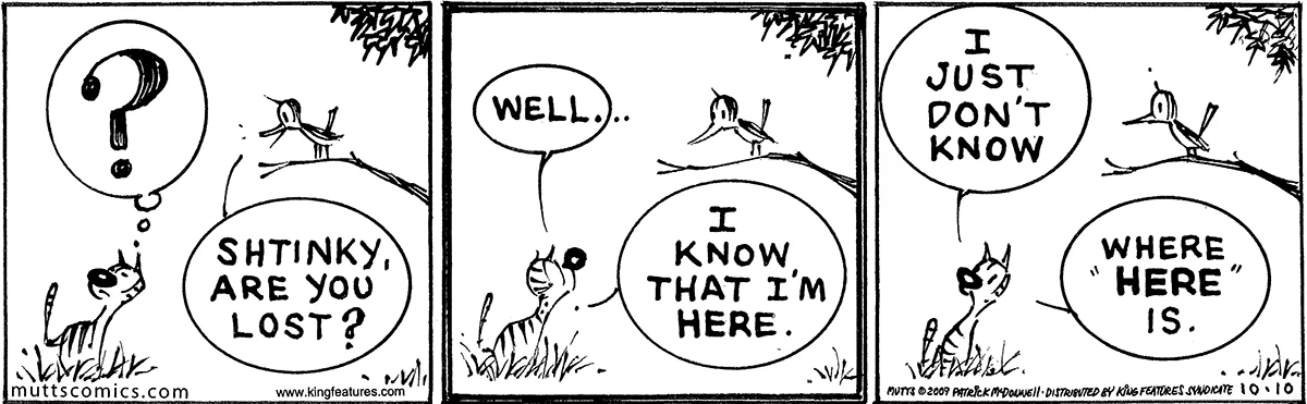 October 10 2009, Daily Comic Strip