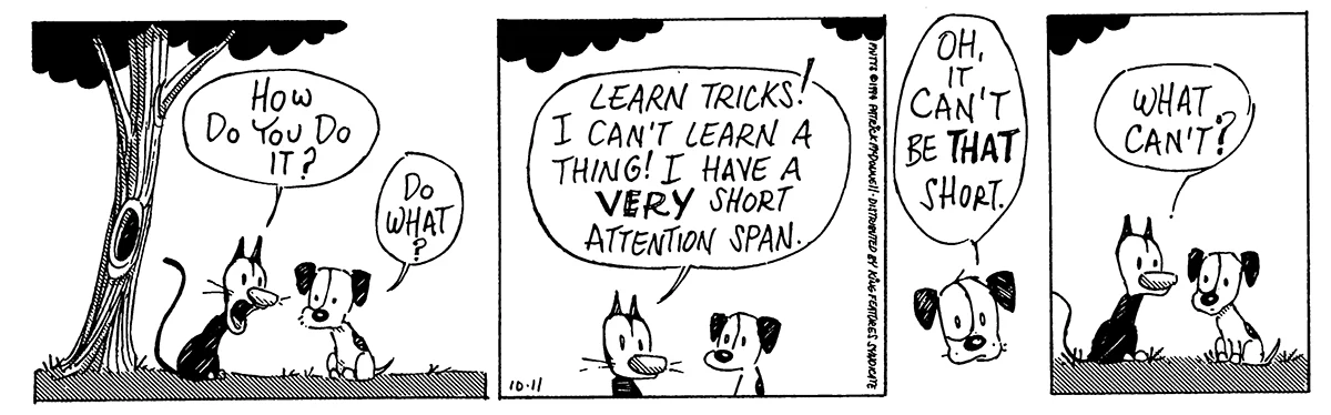 October 11 1994, Daily Comic Strip
