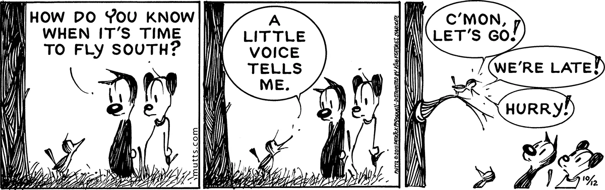 October 12 2015, Daily Comic Strip