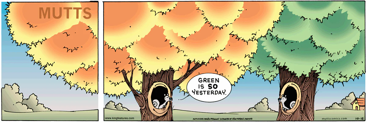 October 15 2006, Sunday Comic Strip