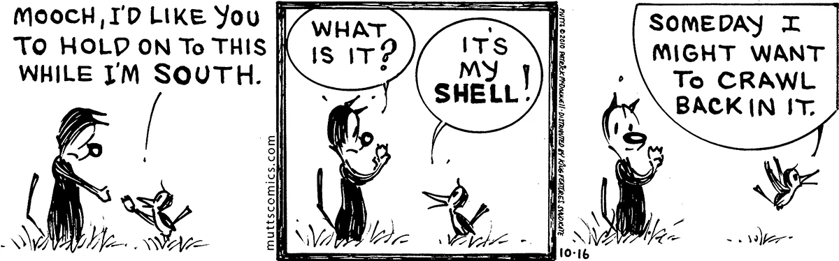October 16 2010, Daily Comic Strip