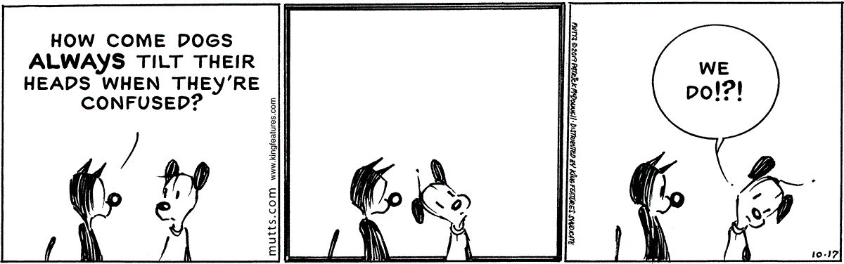 October 17 2019, Daily Comic Strip