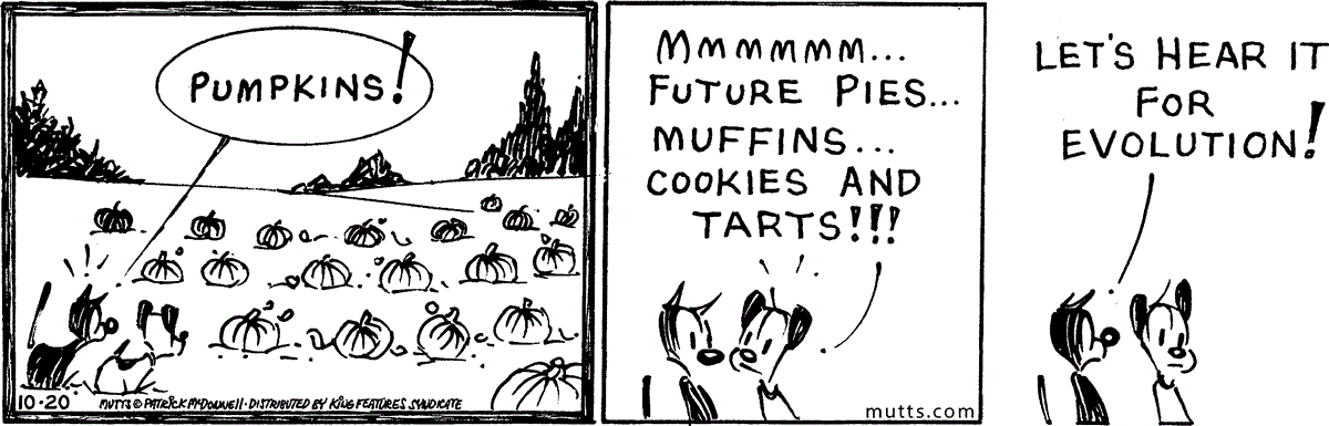 October 20 2025, Daily Comic Strip