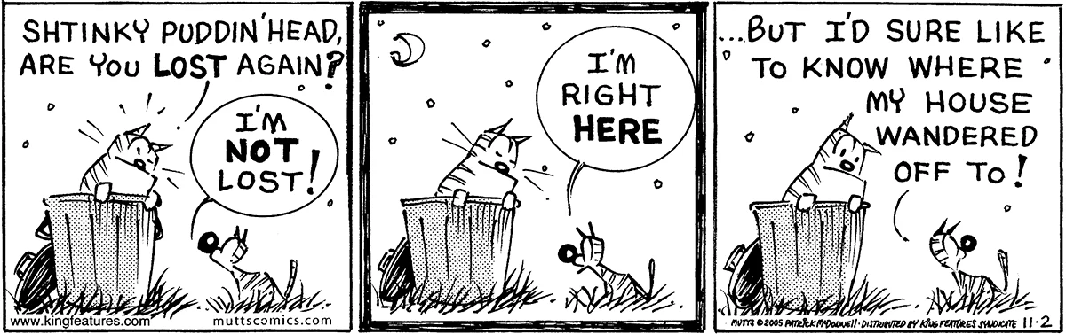 November 2 2005, Daily Comic Strip