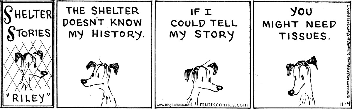 November 4 2009, Daily Comic Strip
