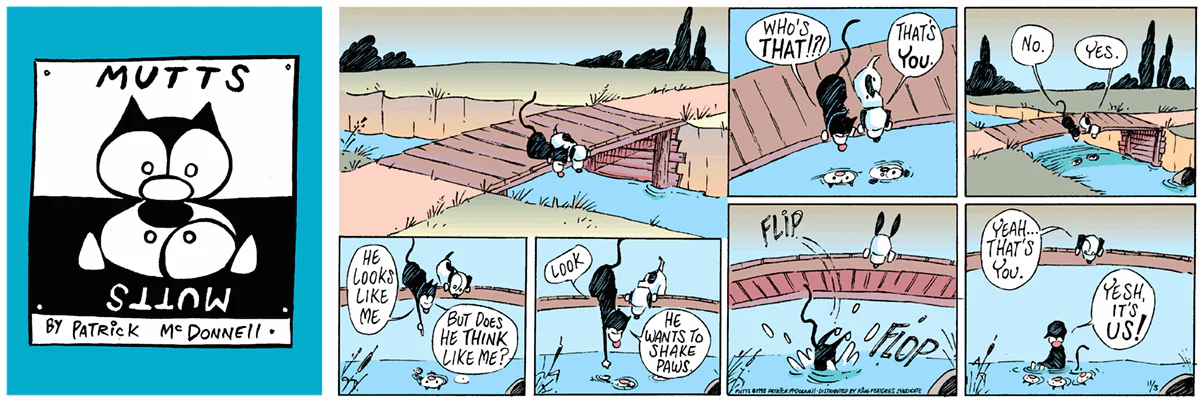 November 5 1995, Sunday Comic Strip