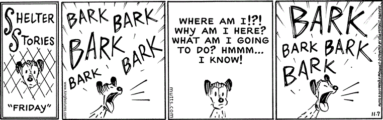 November 7 2017, Daily Comic Strip