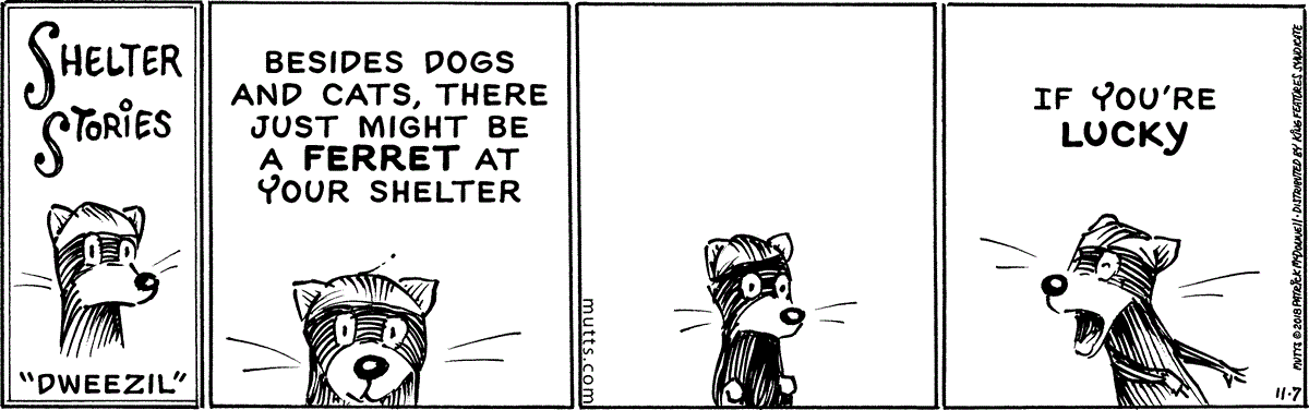 November 7 2018, Daily Comic Strip