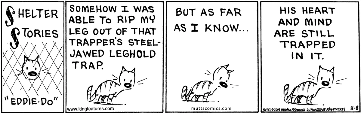 November 8 2006, Daily Comic Strip