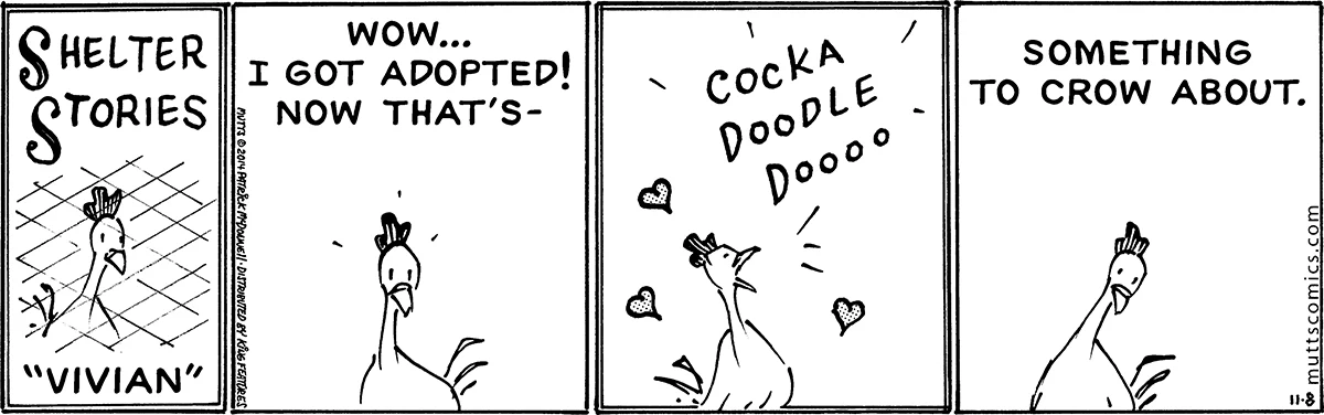 November 8 2014, Daily Comic Strip