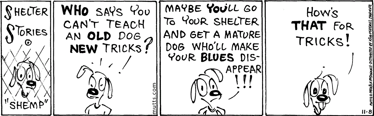 November 8 2024, Daily Comic Strip