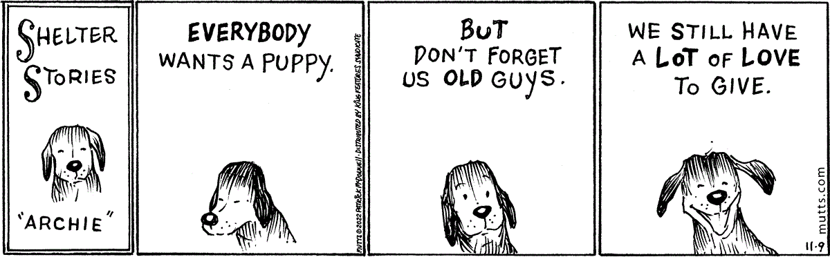 November 9 2022, Daily Comic Strip
