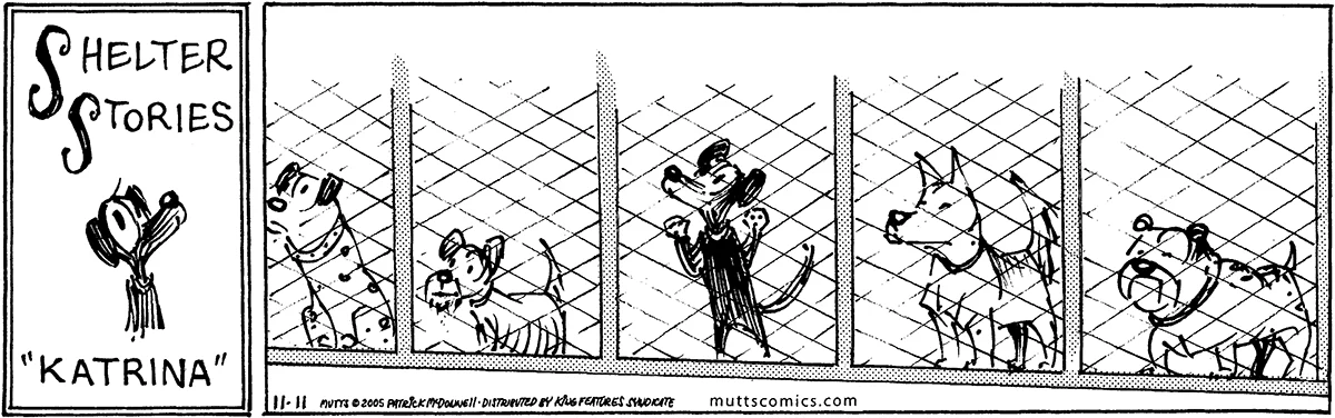November 11 2005, Daily Comic Strip