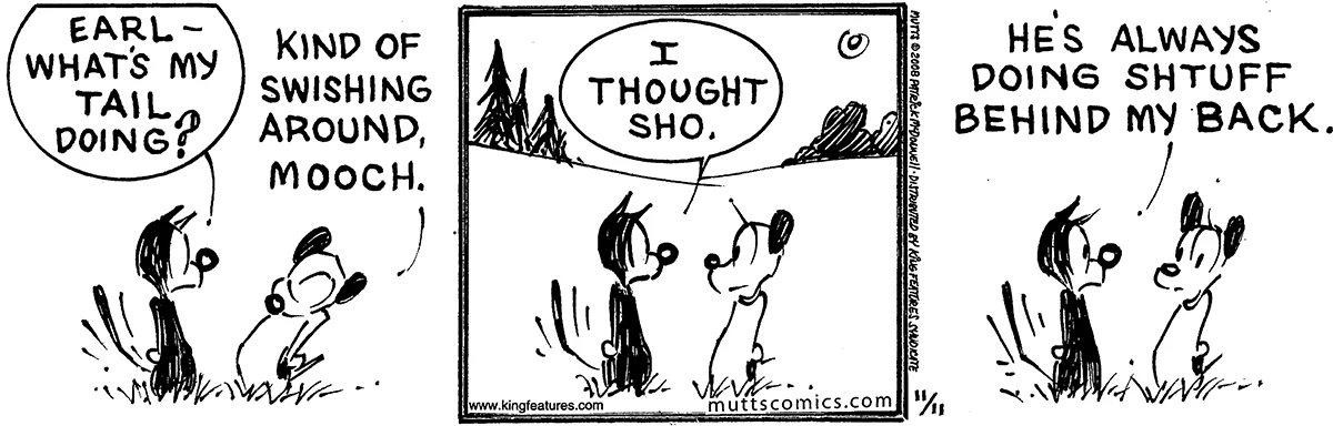 November 11 2008, Daily Comic Strip