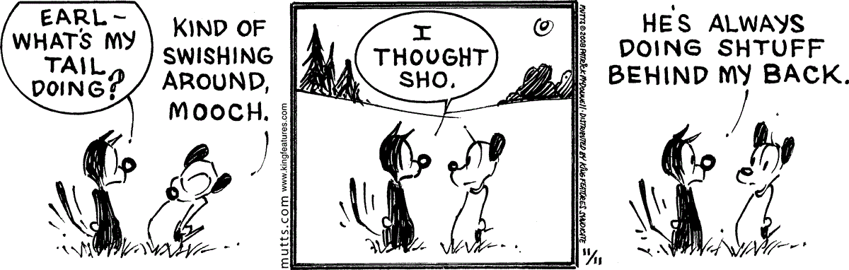 November 11 2020, Daily Comic Strip