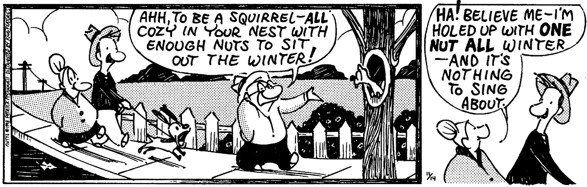 November 14 1998, Daily Comic Strip