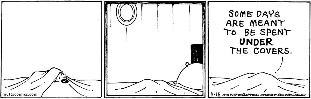 November 16 2004, Daily Comic Strip