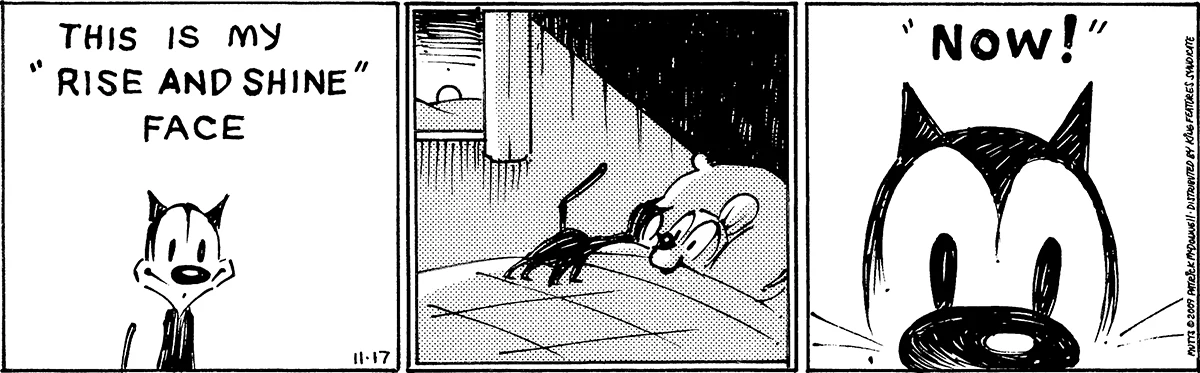 November 17 2009, Daily Comic Strip