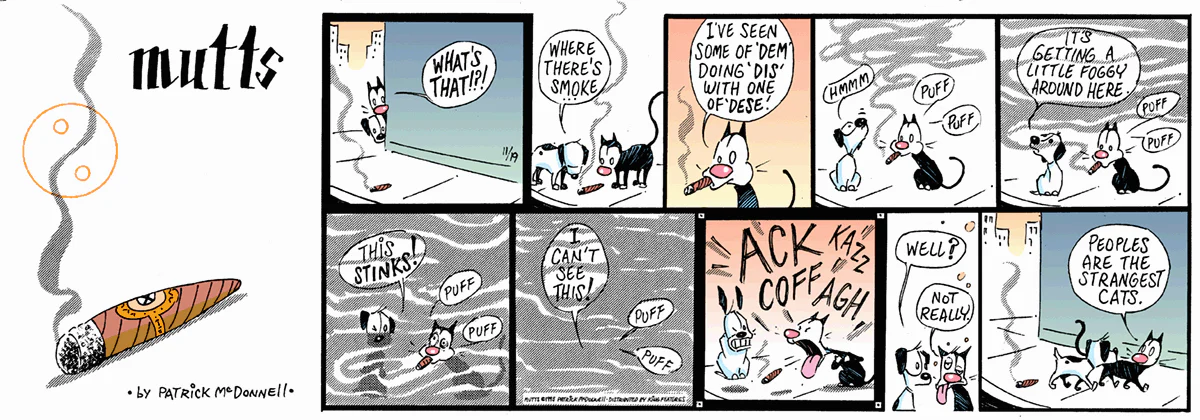 November 19 1995, Sunday Comic Strip