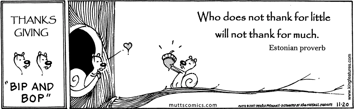 November 20 2007, Daily Comic Strip