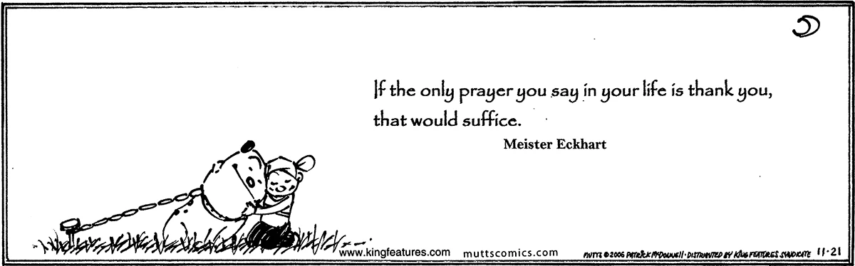 November 21 2006, Daily Comic Strip