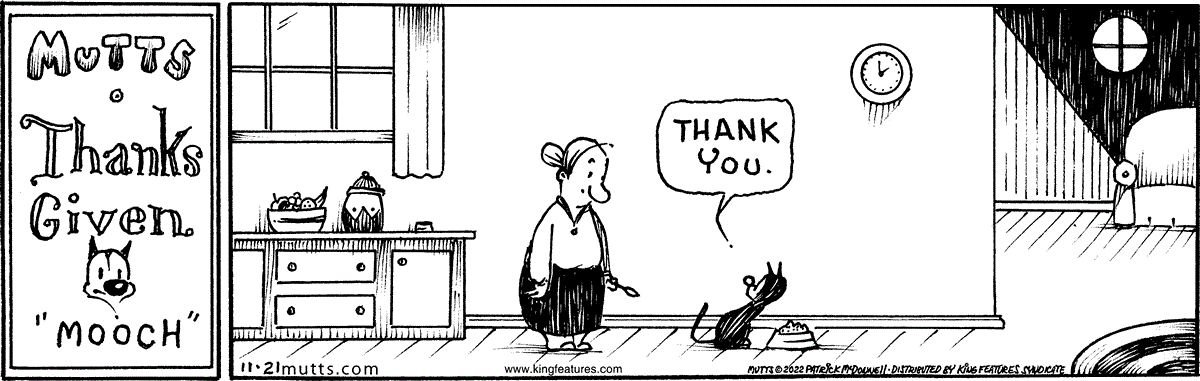 November 21 2022, Daily Comic Strip