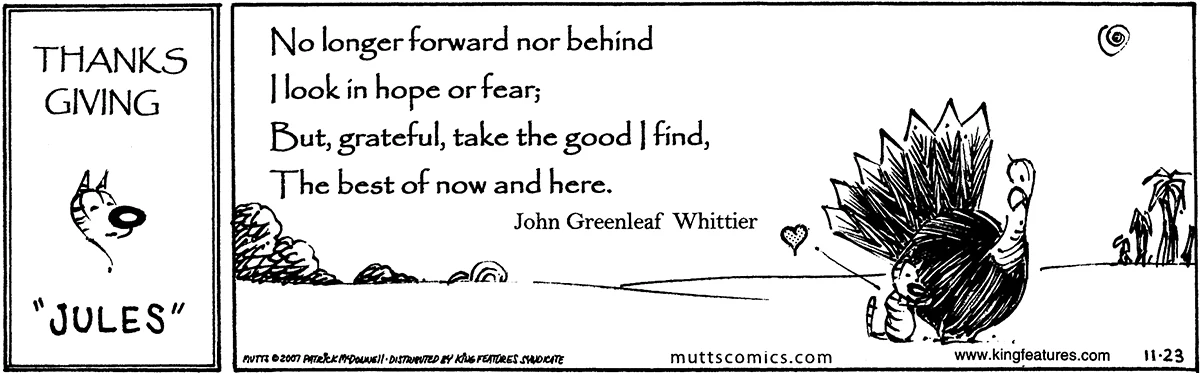 November 23 2007, Daily Comic Strip