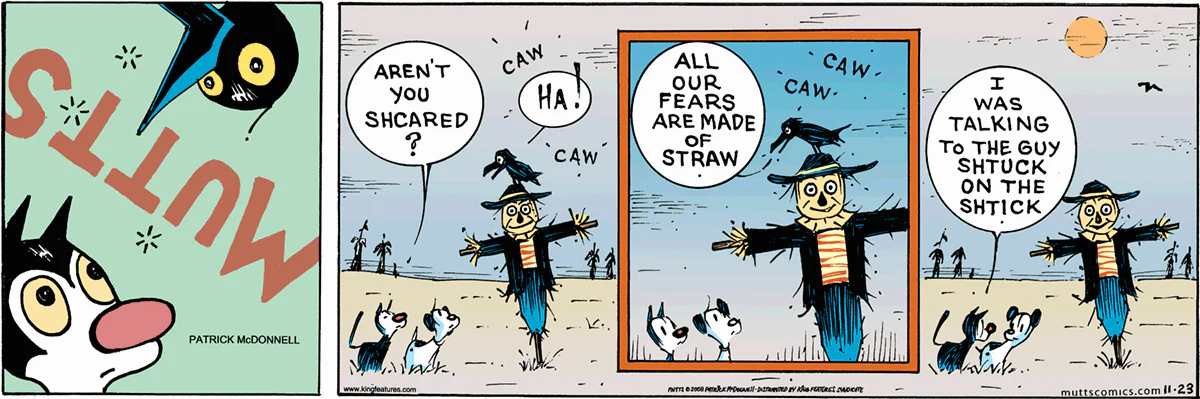 November 23 2008, Sunday Comic Strip