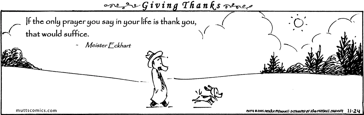 November 24 2005, Daily Comic Strip