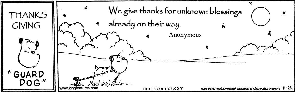 November 24 2007, Daily Comic Strip