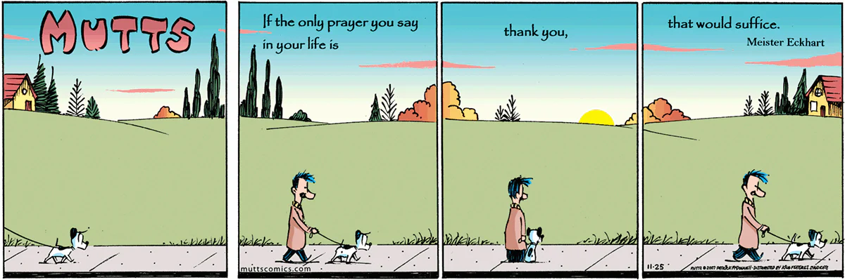 November 25 2007, Sunday Comic Strip