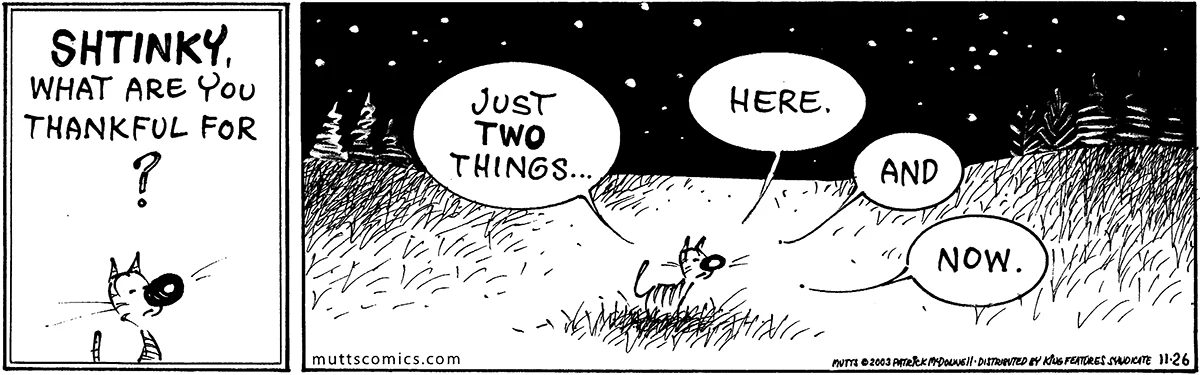 November 26 2003, Daily Comic Strip