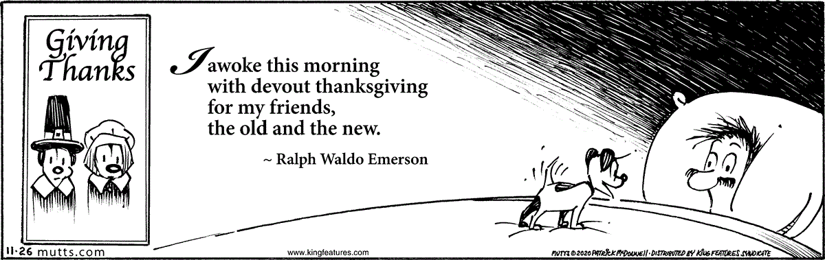 November 26 2020, Daily Comic Strip
