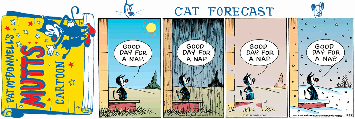 November 27 2005, Sunday Comic Strip