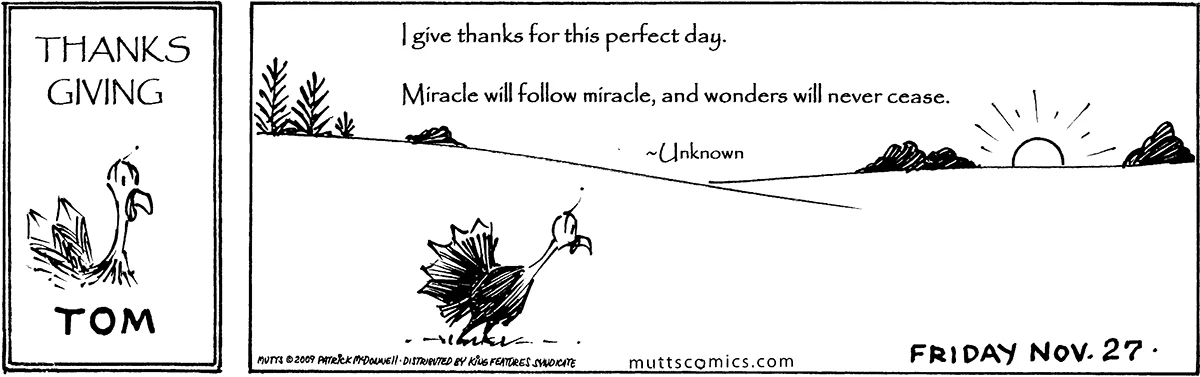 November 27 2009, Daily Comic Strip