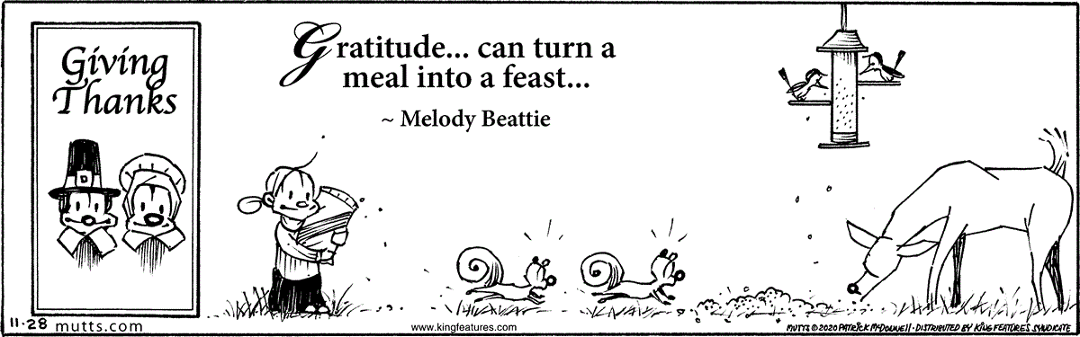 November 28 2020, Daily Comic Strip