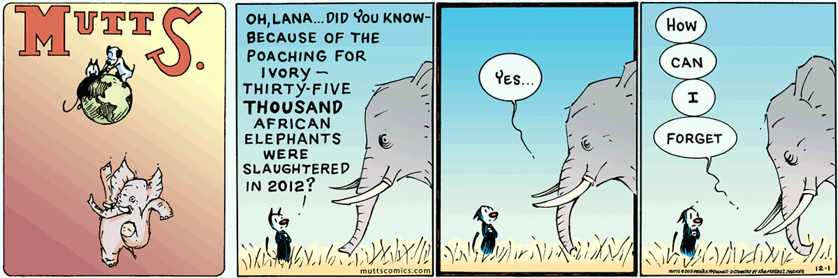 December 1 2013, Sunday Comic Strip