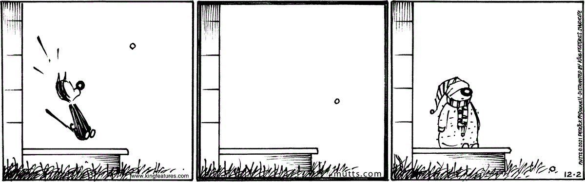 December 2 2021, Daily Comic Strip
