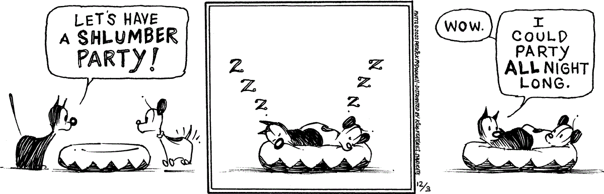 December 3 2022, Daily Comic Strip