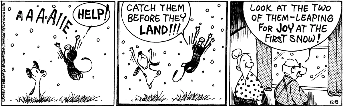 December 8 2000, Daily Comic Strip