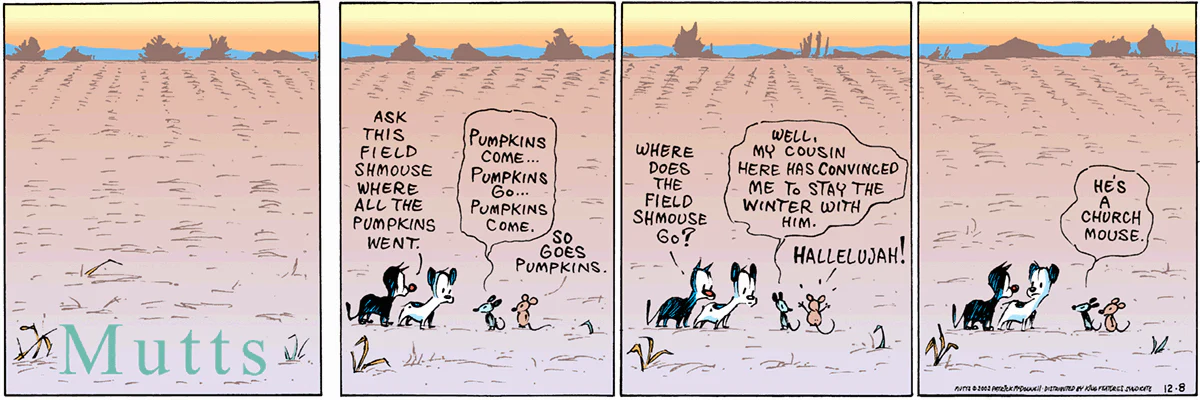 December 8 2002, Sunday Comic Strip